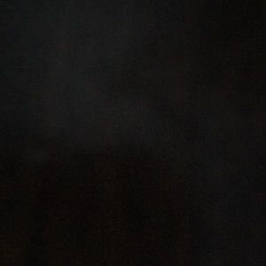 Meet your Posher, Samuel